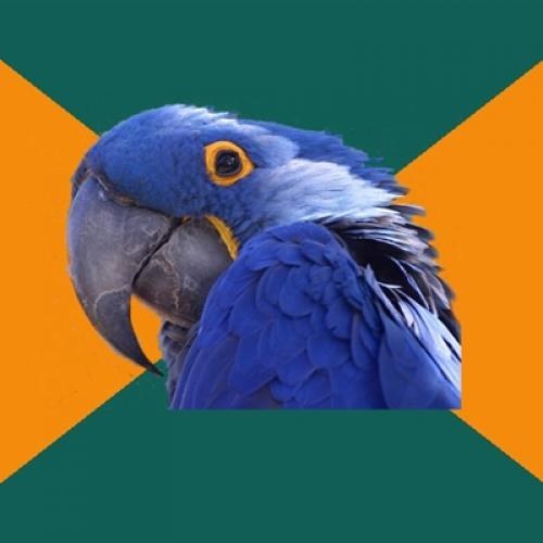 Paranoid Parrot meme template