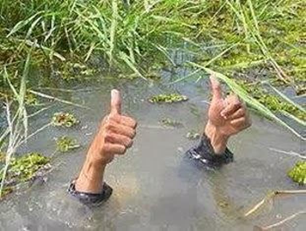 FLOODING THUMBS UP meme template
