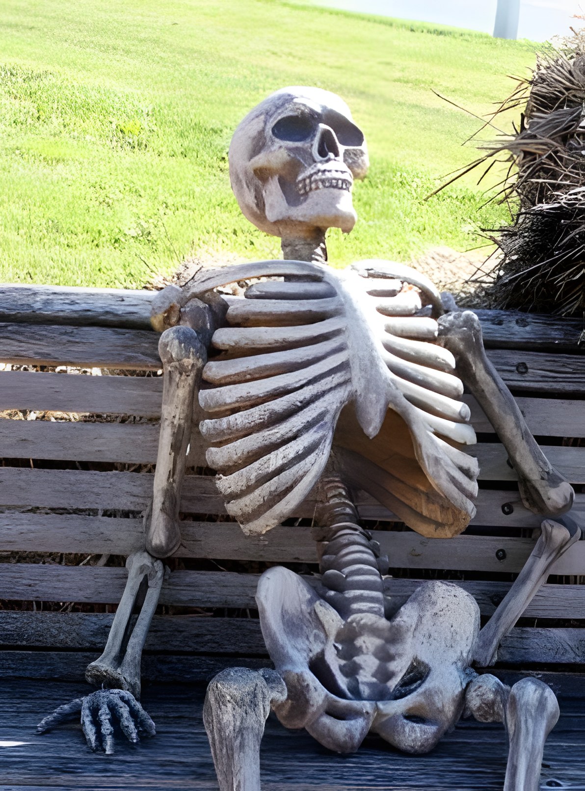 Waiting Skeleton meme template