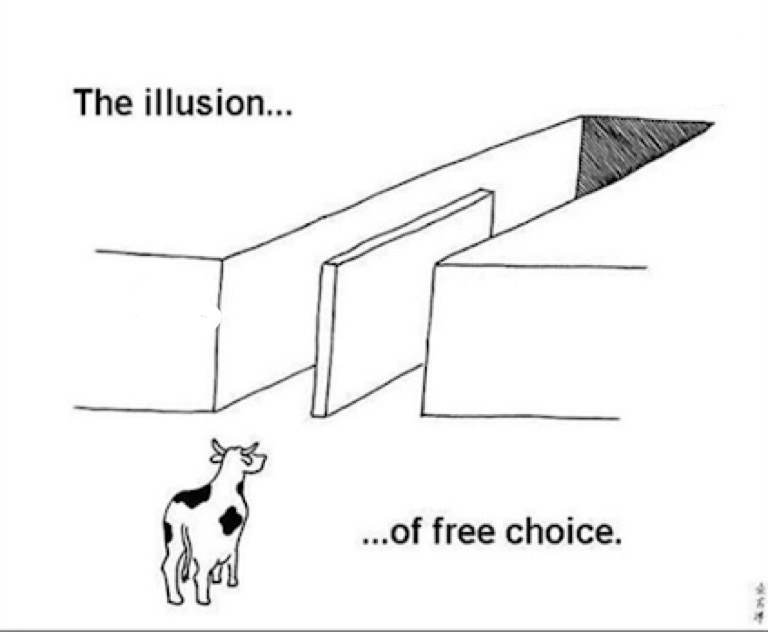 Illusion of free choice meme template